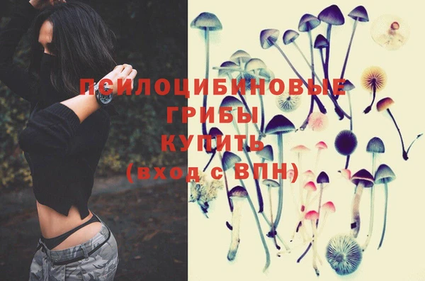 соль курить ск Мегион