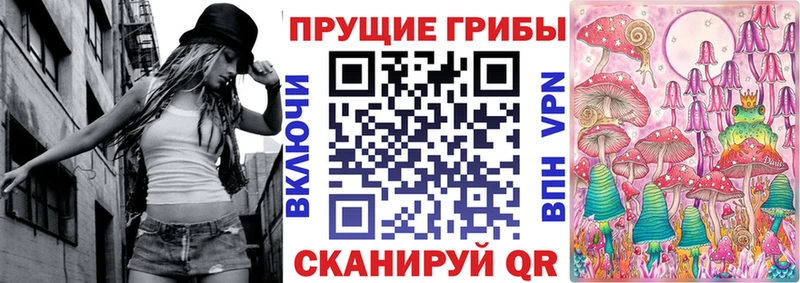 Галлюциногенные грибы Psilocybe Дмитриев