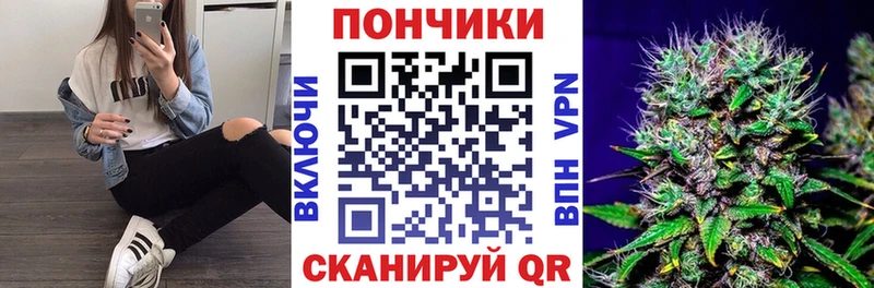Бошки марихуана планчик  Дмитриев 